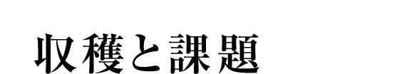 収穫と課題